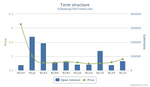 Natural Gas Term Structure